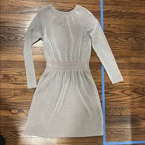 Silver Long Sleeve Dress